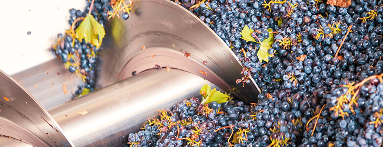 Jacob's Creek Reserve Barossa Shiraz process The De-Stemmer