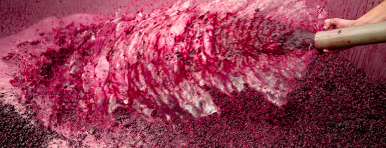 Jacob's Creek Reserve Barossa Shiraz process THE FERMENT