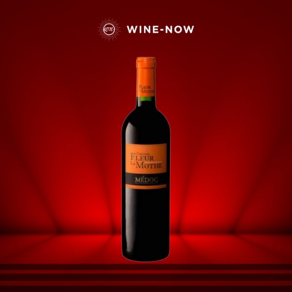 Chateau Fleur la Mothe Medoc Cru Bourgeois