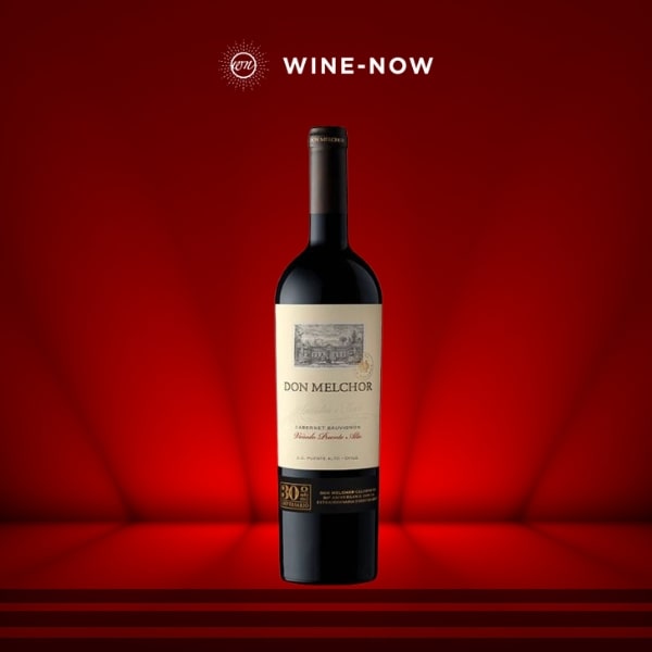 Concha Y Toro Don Melchor
