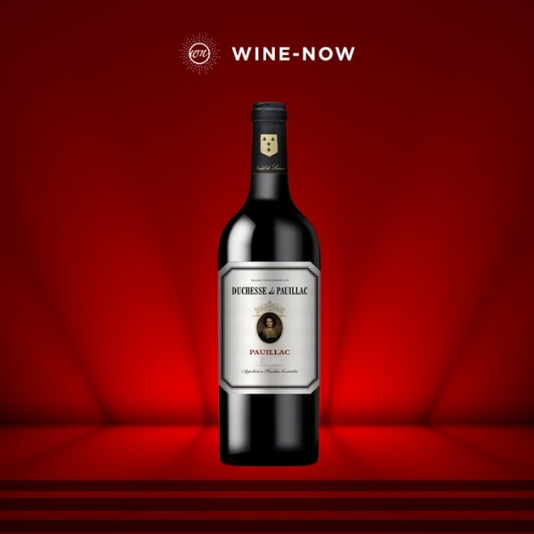 Duchesse De Pauillac