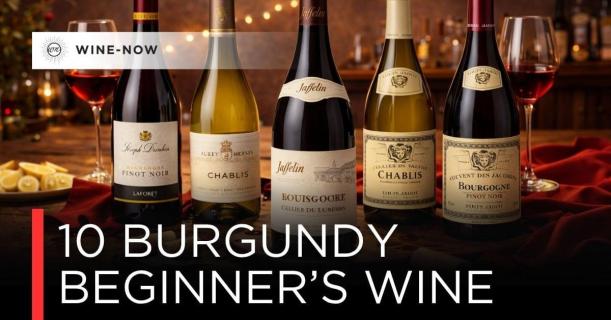 10 Burgundy สำหรับมือใหม่ที่อยากเริ่มต้น