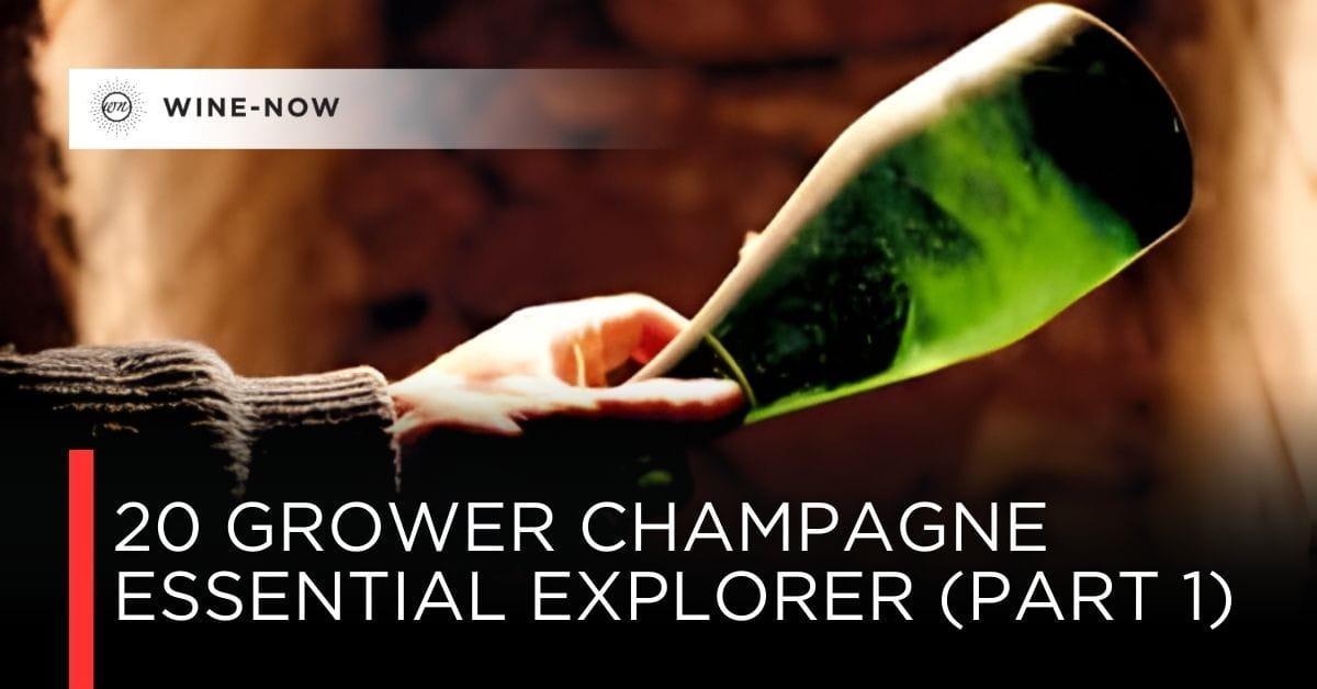 เปิดโลก Grower Champagne: 20 ผู้ผลิตที่ถ่ายทอด terroir อย่างตรงไปตรงมา – ตอนที่ 1