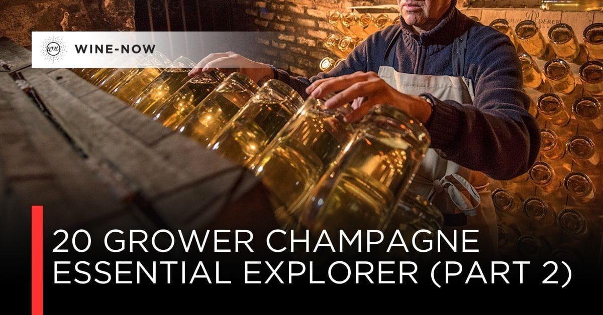 เปิดโลก Grower Champagne: 20 ผู้ผลิตที่ถ่ายทอด Terroir อย่างตรงไปตรงมา – ตอนที่ 2