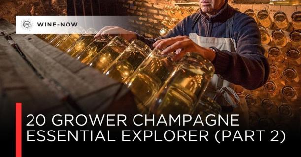 เปิดโลก Grower Champagne: 20 ผู้ผลิตที่ถ่ายทอด Terroir อย่างตรงไปตรงมา – ตอนที่ 2