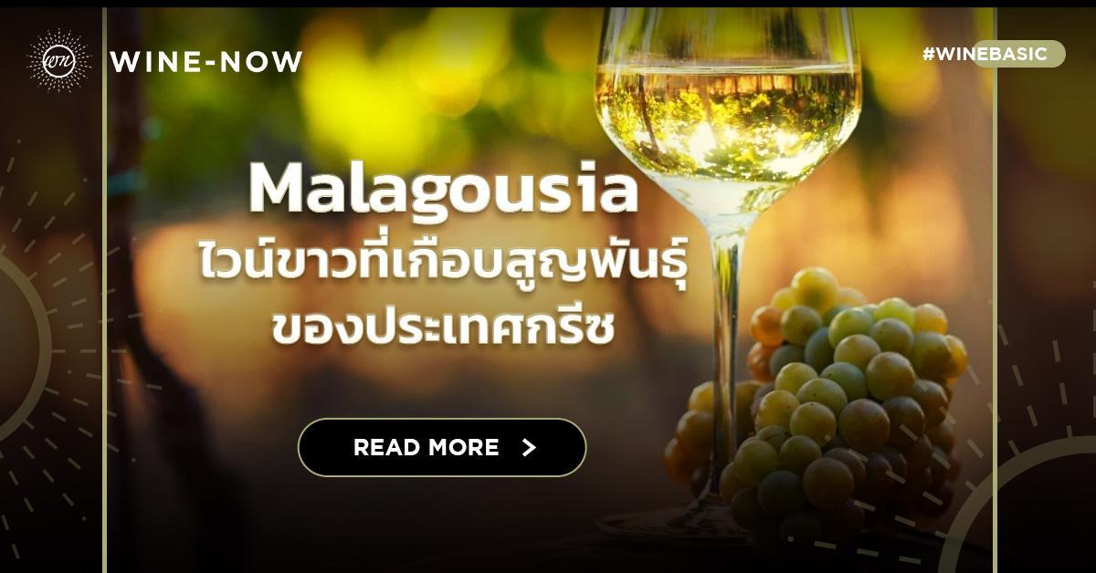 Malagousia ไวน์ขาวที่เกือบสูญพันธุ์ ของประเทศกรีซ