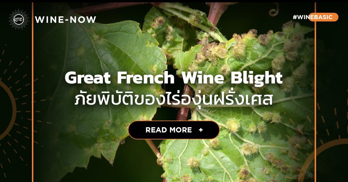 Great French Wine Blight ภัยพิบัติของไร่องุ่นฝรั่งเศส