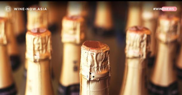 Reims ให้ Champagne ฟรี หนุนการท่องเที่ยว