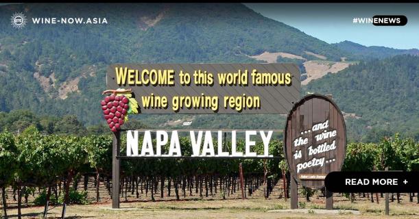 ไร่องุ่นกว่า 80% ใน Napa เริ่มผลิต Vintage 2020 แล้ว