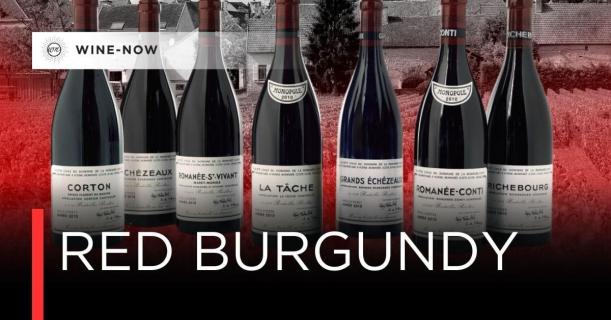 Red Burgundy – เสน่ห์สีแดงแห่งเบอร์กันดีที่โลกหลงรัก