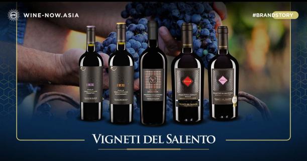 Vigneti del Salento ไวน์ Primitivo คุณภาพ จากทางตอนใต้อิตาลี