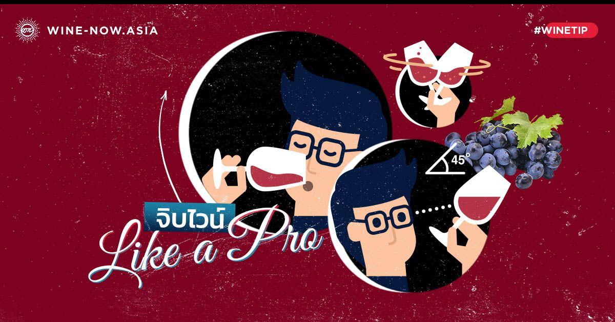 จิบไวน์แบบ Professional ไม่มีพลาดทุกลีลา