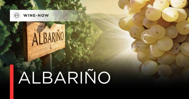 Albariño องุ่นขาวจากขอบโลกที่หลายคนยังไม่รู้จัก