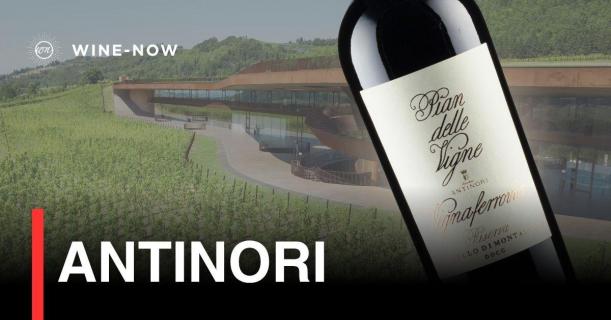Antinori: ตำนานไวน์จากอิตาลีที่โลกไม่มีวันลืม