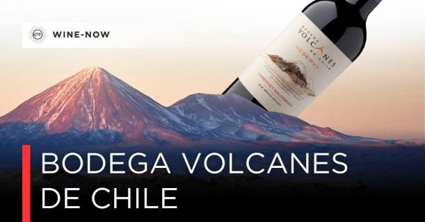 Bodega Volcanes de Chile – ไวน์จากเชิงเขาภูเขาไฟแห่งชิลี