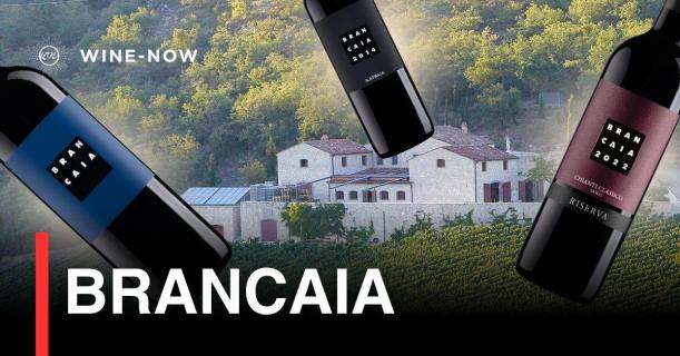 Brancaia – เสน่ห์แห่งไวน์ทัสคานี ที่หลอมรวมศิลปะและความกล้าท้าทาย