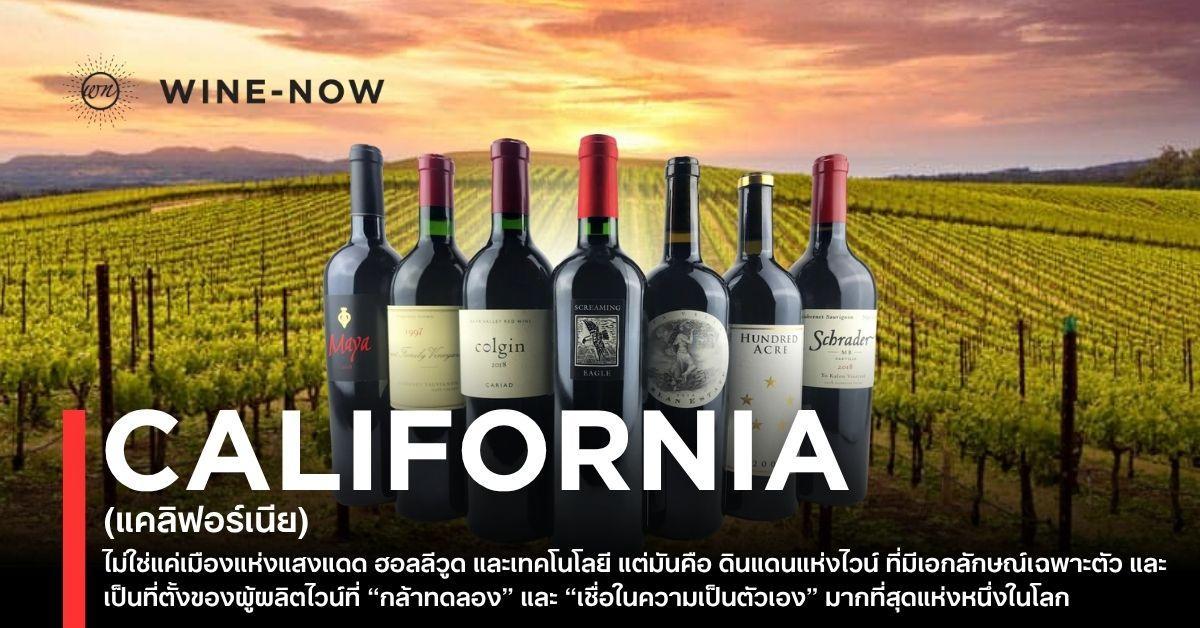 California Wine – รสชาติแห่งแสงแดด ความกล้า และความหลากหลาย