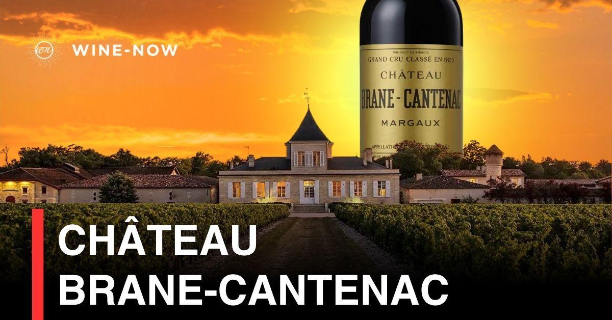 Château Brane-Cantenac – เสียงกระซิบของ Margaux ที่แฝงพลังในความสง่างาม