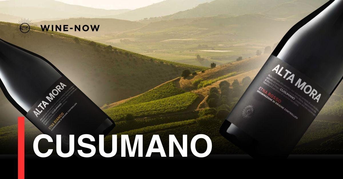 Cusumano – จิตวิญญาณไวน์แห่งซิซิลี