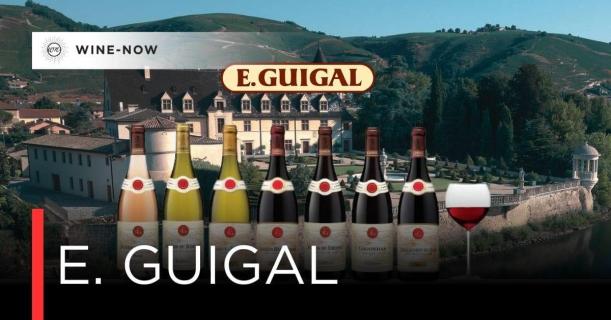 E. Guigal — ตำนานแห่ง Rhône ที่สร้างจากความเชื่อและความอดทน