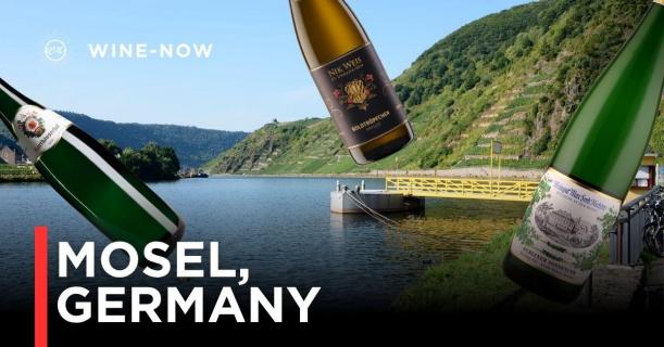 Germany Mosel Wine – เสน่ห์ไวน์ขาวจากหุบเขาสูงที่เย็นที่สุดในยุโรป