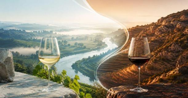 Loire & Rhône : สองแคว้นฝรั่งเศสที่มักถูกมองข้าม