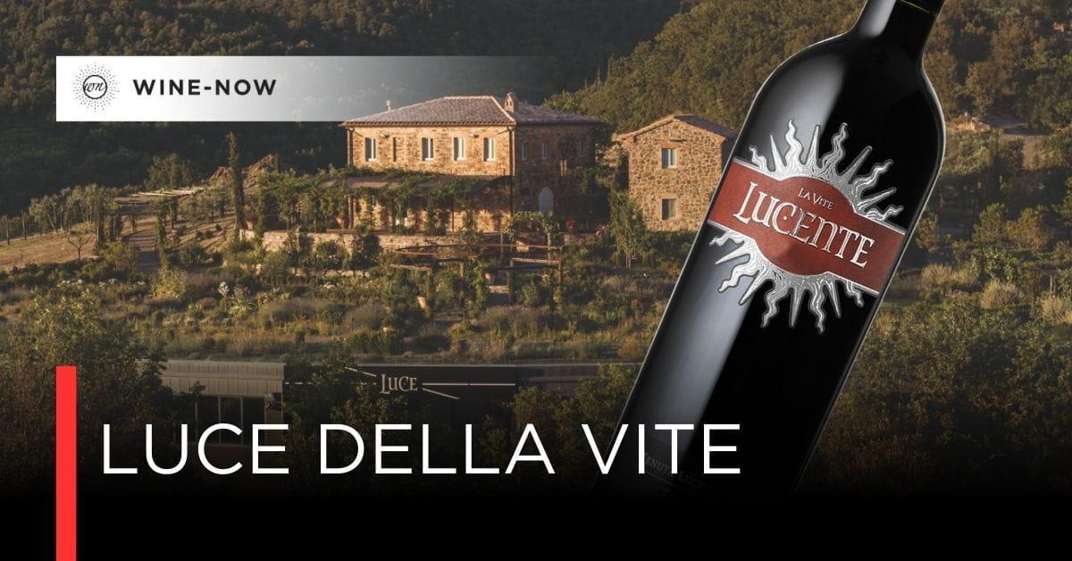 Luce Della Vite — ไวน์จากมอนตัลชิโน ที่เกิดจากการฟัง ไม่ใช่ควบคุม