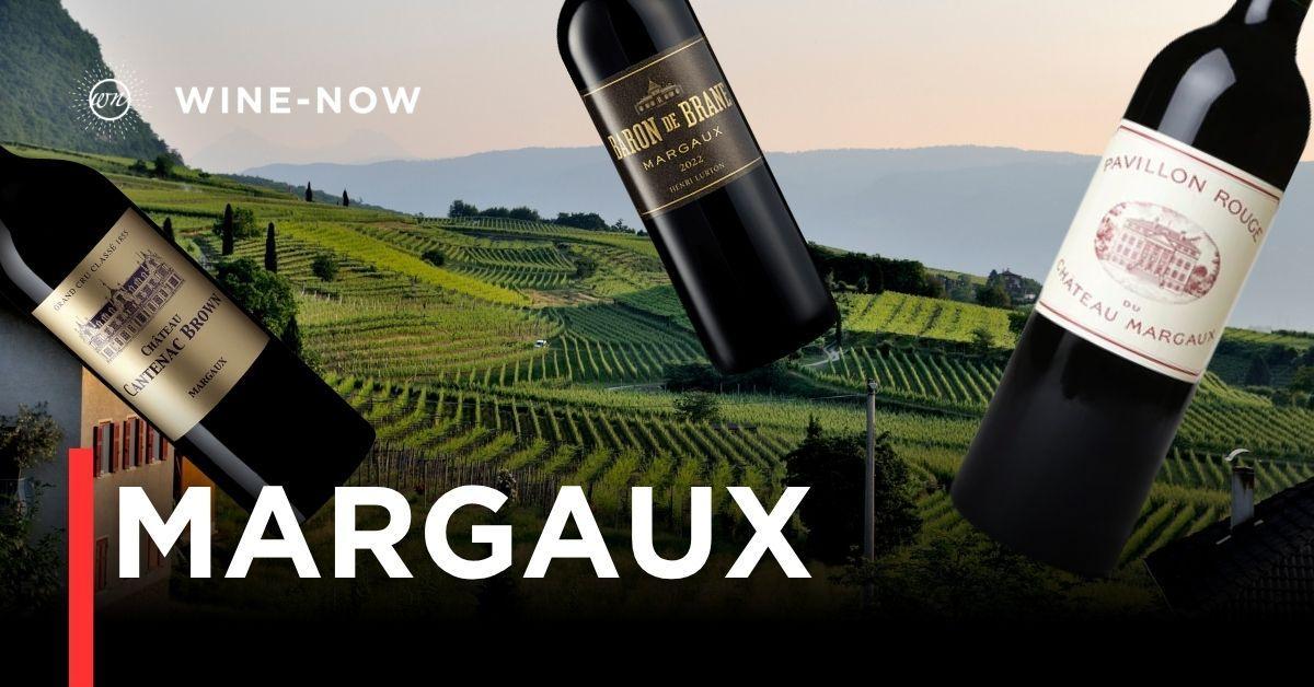 McLaren Vale: ดินแดนไวน์สุดพรีเมียมจากออสเตรเลีย
