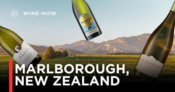 Marlborough, New Zealand – ดินแดนแห่ง Sauvignon Blanc เขย่าโลก