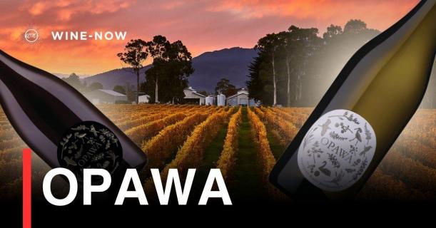 Opawa – บทกวีแห่งลมหนาวและแสงจันทร์จาก Marlborough