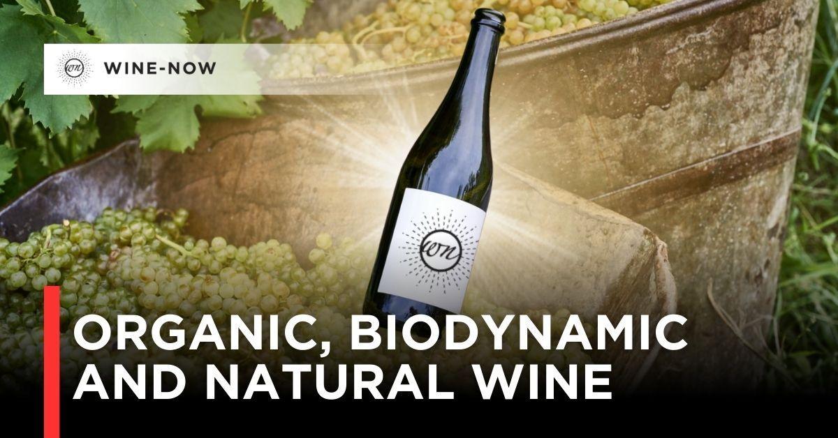 ไวน์ Organic / Biodynamic / Natural ต่างกันอย่างไร?