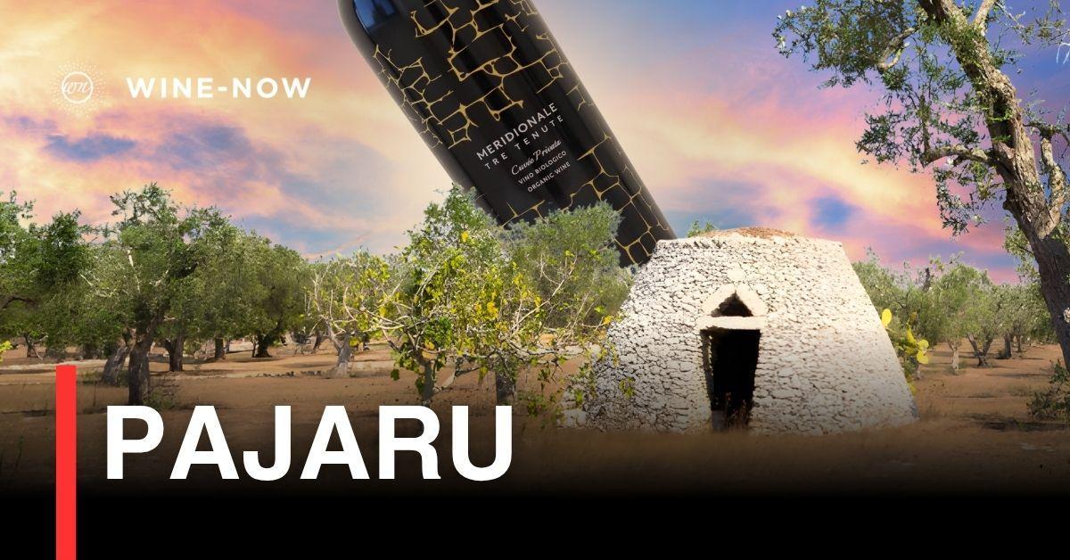 Pajaru – เสน่ห์ไวน์อิตาเลียนที่ถักทอจากแสงแดดแห่ง Puglia