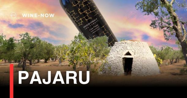 Pajaru – เสน่ห์ไวน์อิตาเลียนที่ถักทอจากแสงแดดแห่ง Puglia