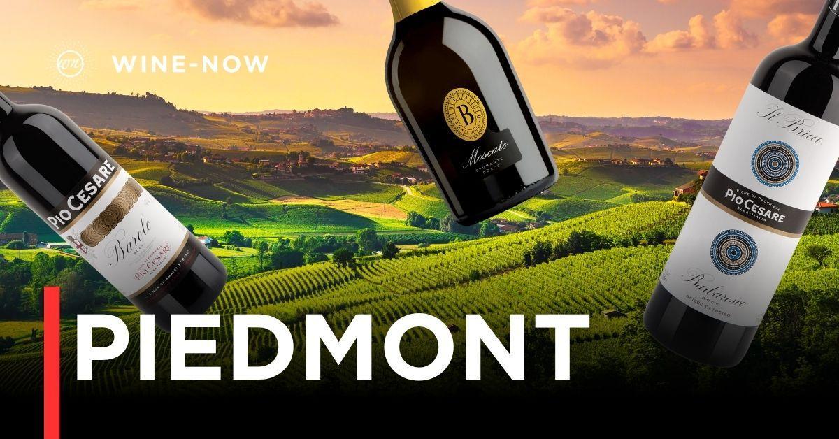 Piedmont – ดินแดนไวน์แห่งความคลาสสิก และน่าค้นหา