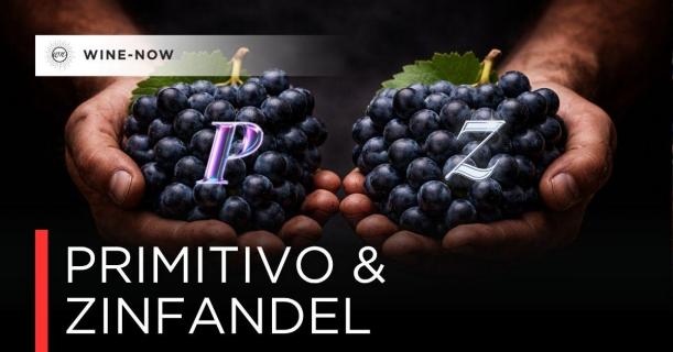 Primitivo & Zinfandel เรื่องเล่าขององุ่นพลัดถิ่น