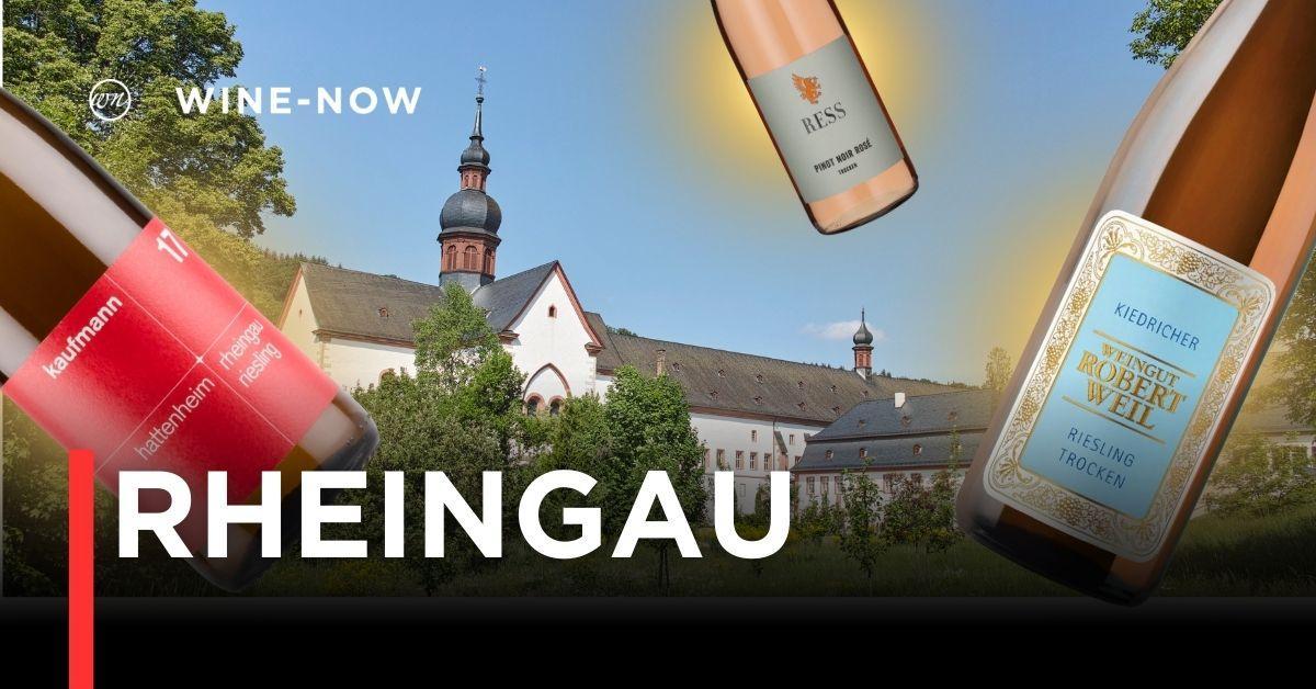 Rheingau เสน่ห์แห่งแม่น้ำไรน์และศิลปะการทำ Riesling