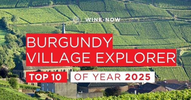 TOP 10 Burgundy Village Explorer