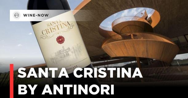 Santa Cristina by Antinori - ไวน์ทัสคันที่ทำให้ชื่อ Antinori เข้าใกล้ผู้ดื่มมากขึ้น