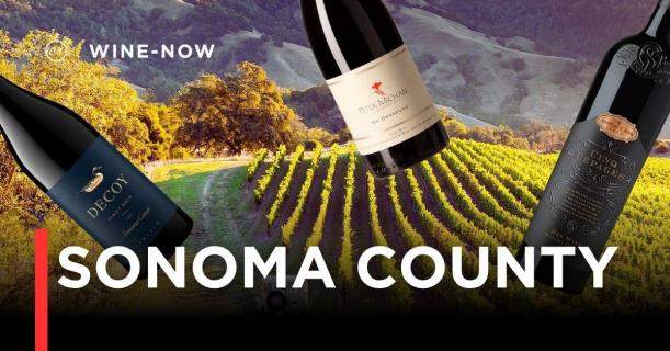 Sonoma County – หัวใจไวน์แคลิฟอร์เนียที่เต็มไปด้วยเสน่ห์