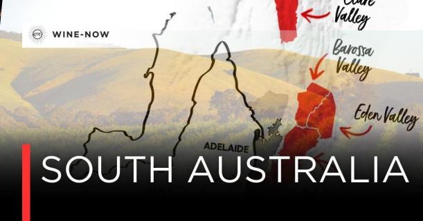 South Australia – ไวน์ออสเตรเลียเริ่มต้นที่นี่