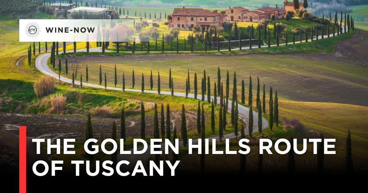 Tuscany เปิดเส้นทางท่องเที่ยวไวน์ใหม่ “The Golden Hills Route”