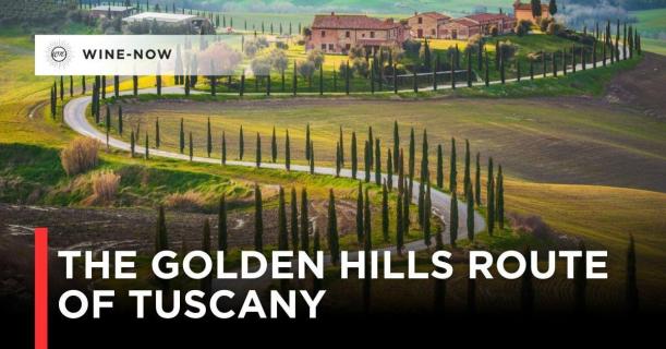 Tuscany เปิดเส้นทางท่องเที่ยวไวน์ใหม่ “The Golden Hills Route”