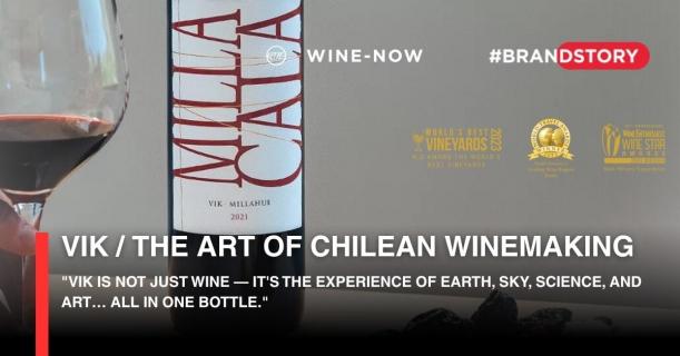 VIK Wine – งานศิลป์แห่งไวน์จากชิลี | เปิดประสบการณ์ VIK ที่ Wine-Now.asia