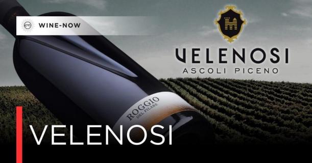 Velenosi — ไวน์จากหัวใจของ Marche ที่โลกยอมรับ