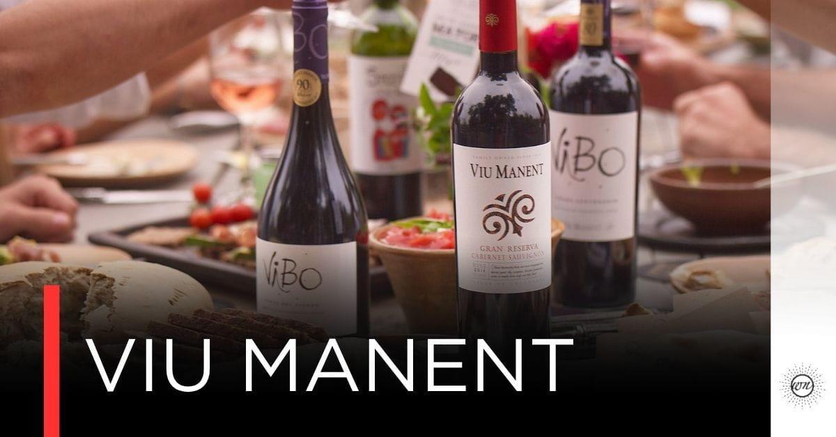 Viu Manent - Family Vineyard ชั้นแนวหน้าของ Chile 