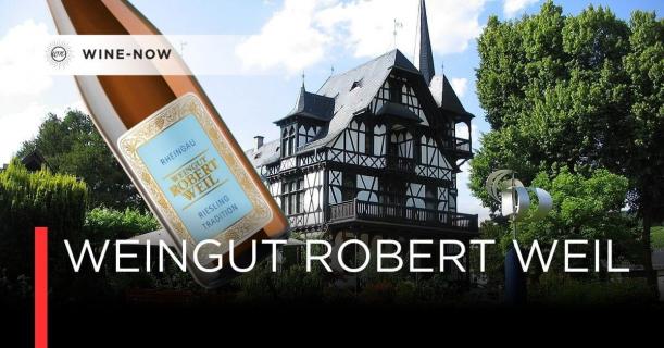 Weingut Robert Weil — นิยามของ Riesling แห่ง Rheingau ที่โลกยอมรับ