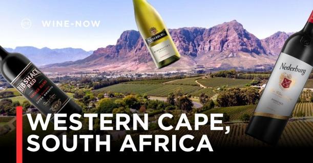 Western Cape – ดินแดนแห่ง Syrah และไวน์ธรรมชาติของ South Africa