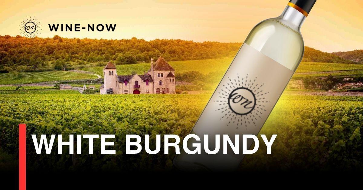 White Burgundy – เสน่ห์ไวน์ขาวและแผ่นดินที่หล่อหลอมจากเวลา