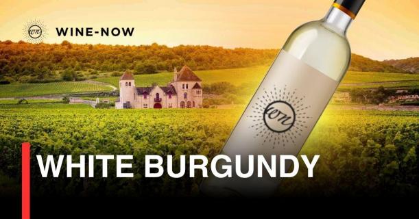 White Burgundy – เสน่ห์ไวน์ขาวและแผ่นดินที่หล่อหลอมจากเวลา