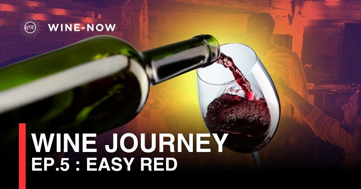 Wine journey EP.5 : Easy Reds — ไวน์แดงสบาย ๆ ที่คนรักไวน์ต้องซ้ำ